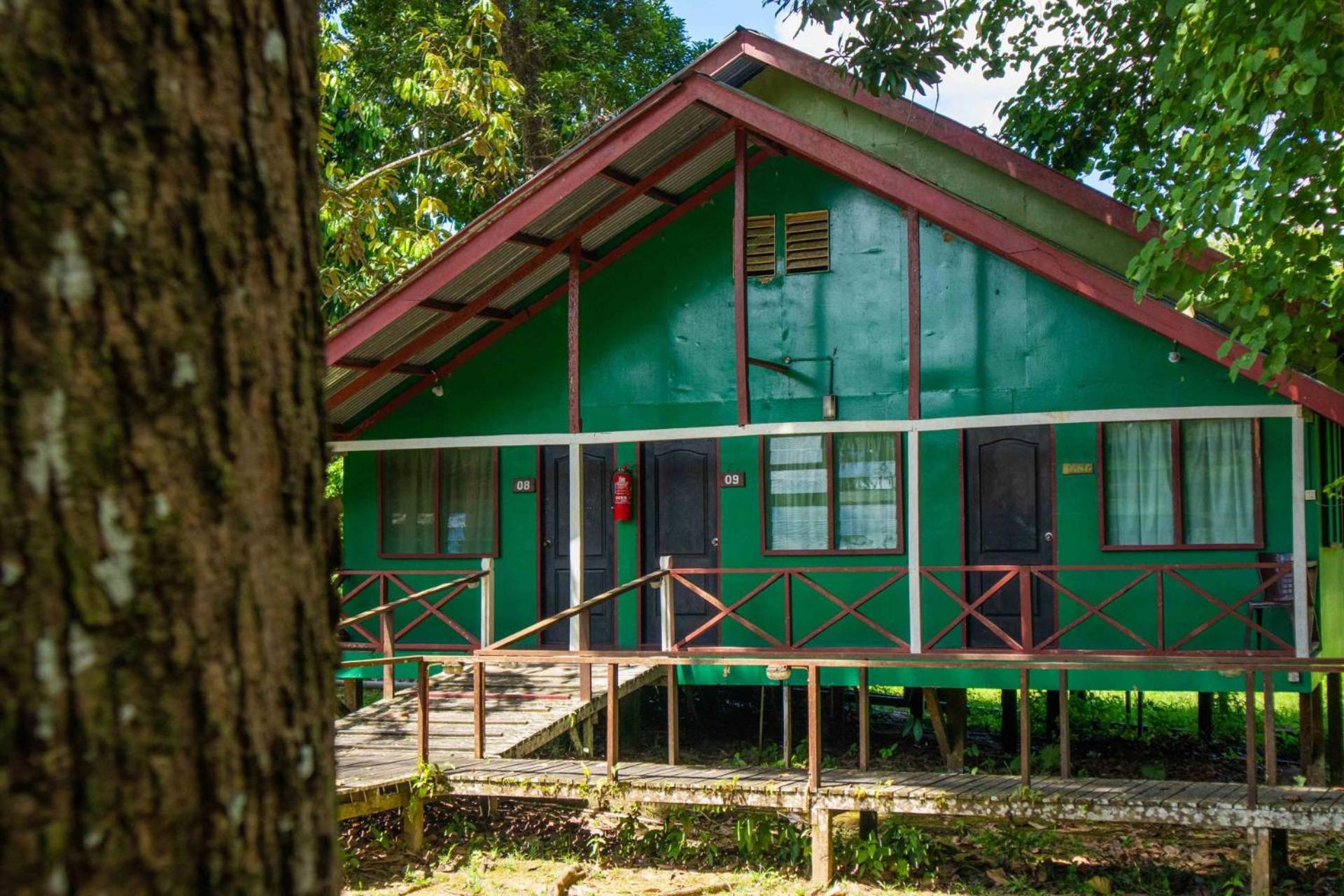 Sukau Greenview Bed & Breakfast Kültér fotó